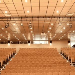 T24 Acoustic Wood Suspended Ceiling Panel